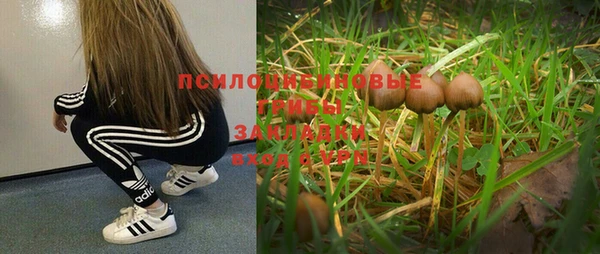 spice Верхний Тагил